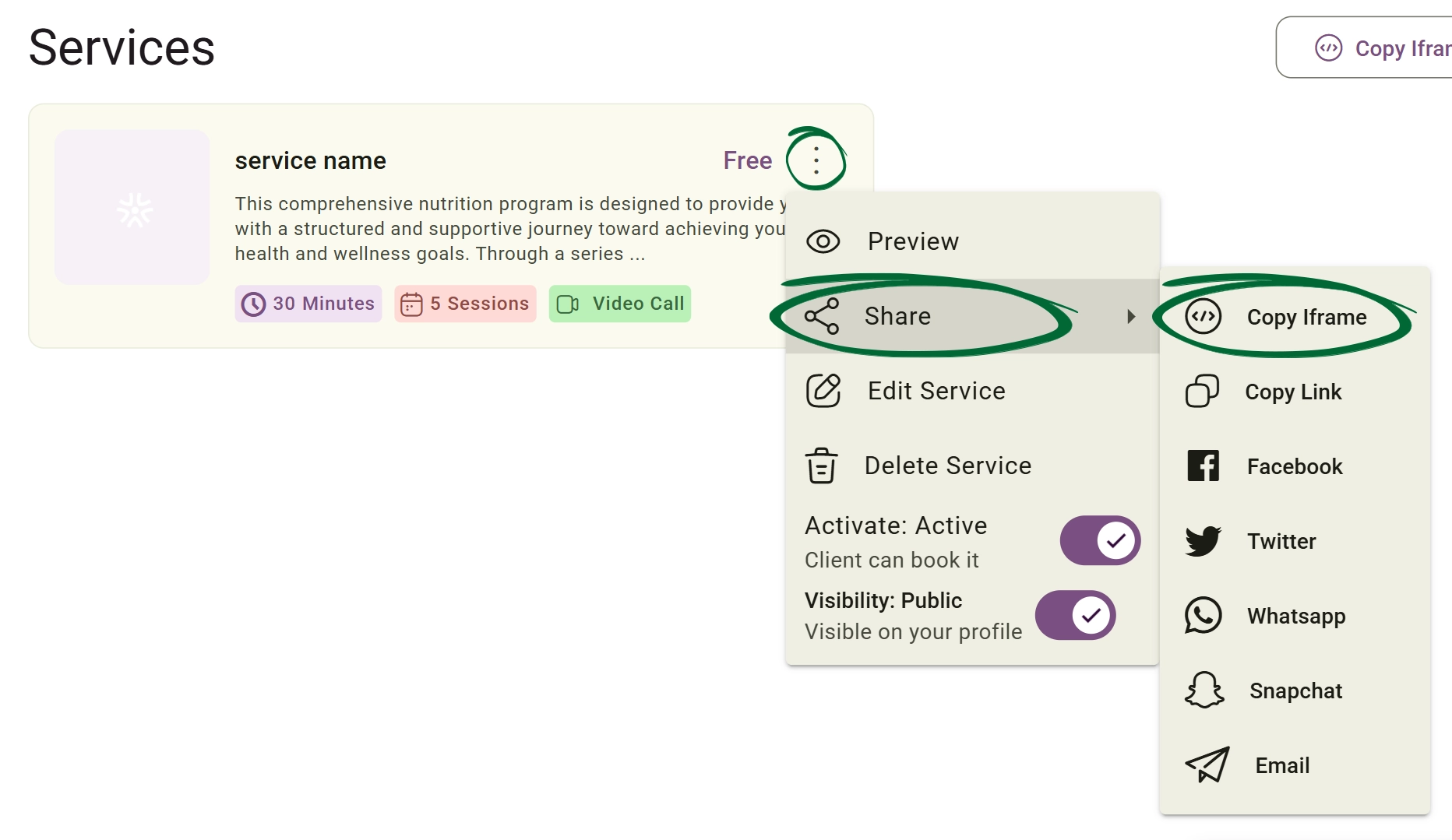 Copy Iframe screenshot